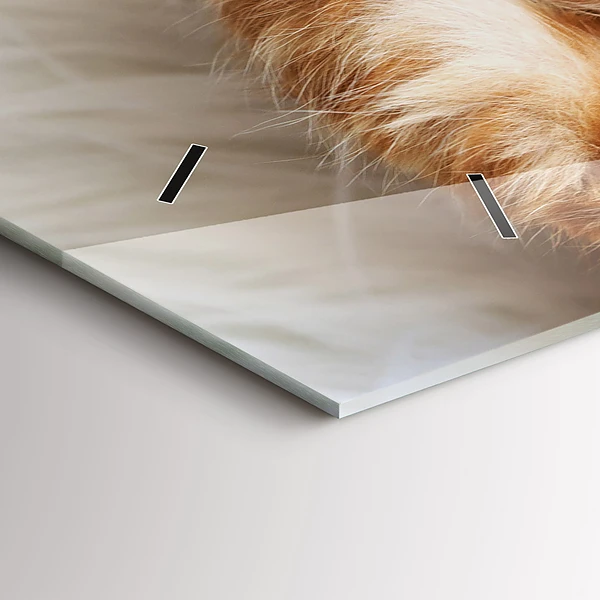 Horizontale Uhr Kleine Katze schlafend