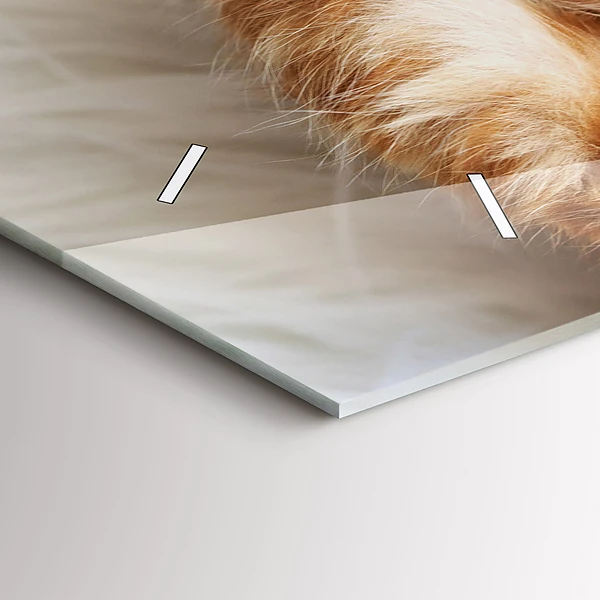 Horizontale Uhr Kleine Katze schlafend