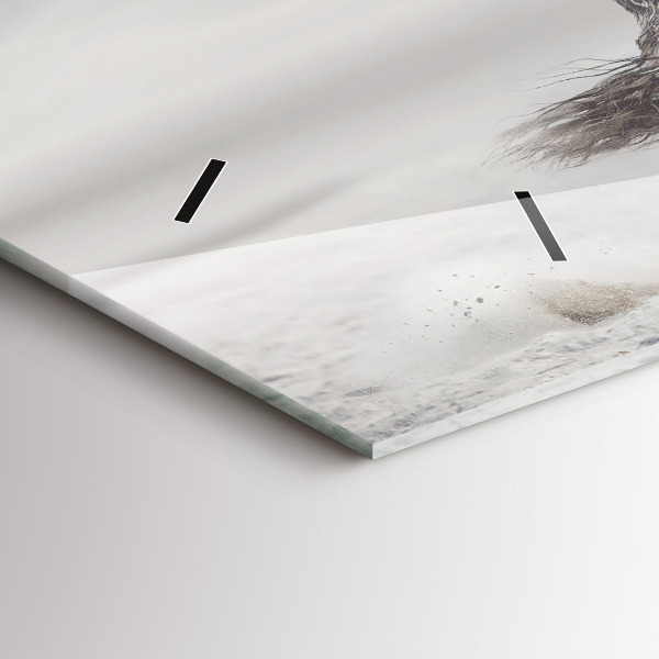 Horizontale Uhr mit motiv Galoppierendes weißes Pferd