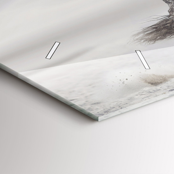 Horizontale Uhr mit motiv Galoppierendes weißes Pferd