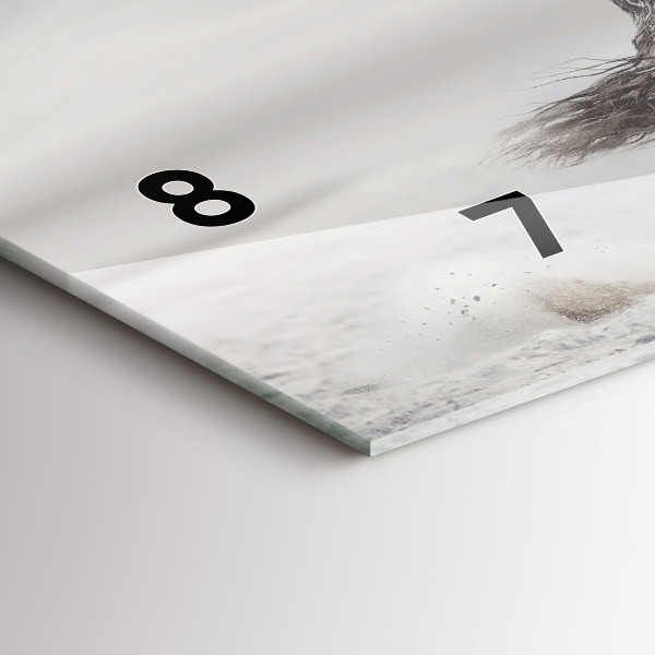 Horizontale Uhr mit motiv Galoppierendes weißes Pferd