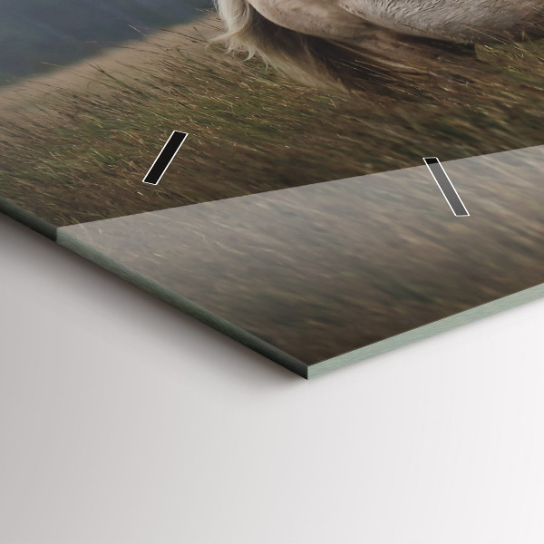 Horizontale Uhr Pferde im Galopp