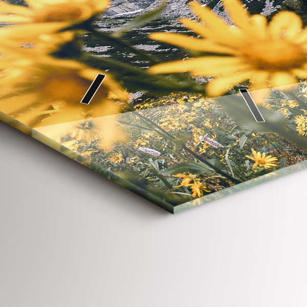 Horizontale Uhr Blumenwiese in den Bergen