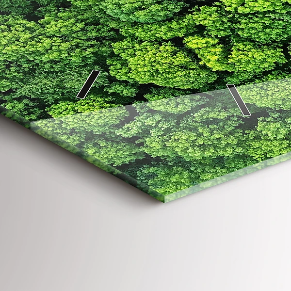 Horizontale Uhr Wald aus der Vogelperspektive
