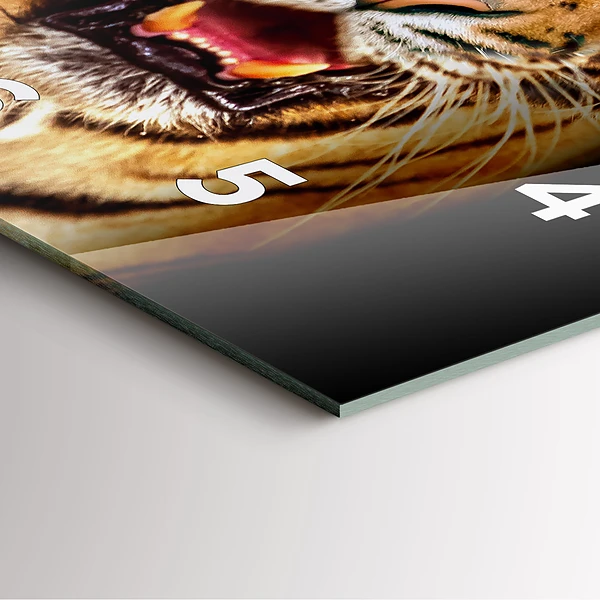 Wanduhr quadratisch Tiger - wildes Auge