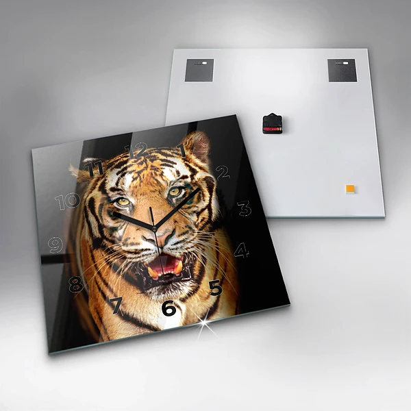 Wanduhr quadratisch Tiger - wildes Auge