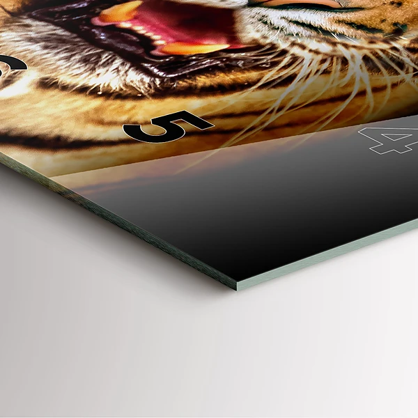 Wanduhr quadratisch Tiger - wildes Auge