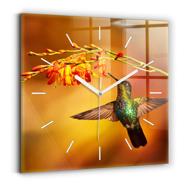 Wanduhr quadratisch Kolibri Vogel