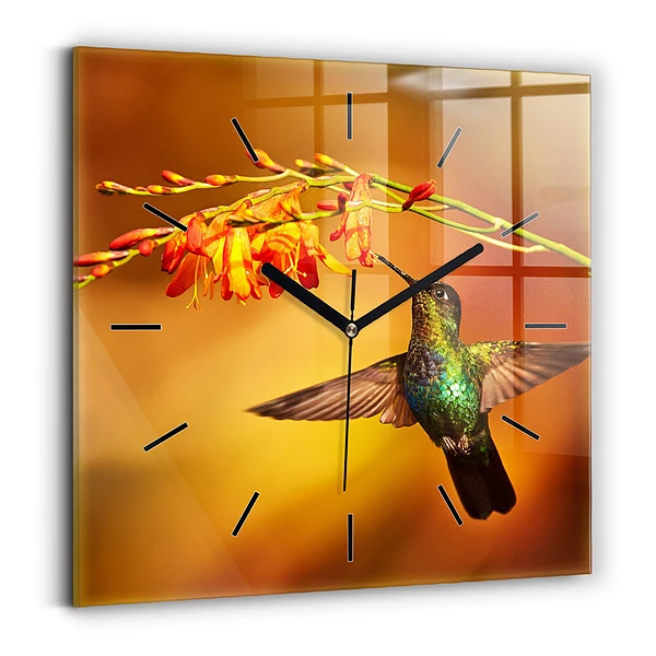 Wanduhr quadratisch Kolibri Vogel