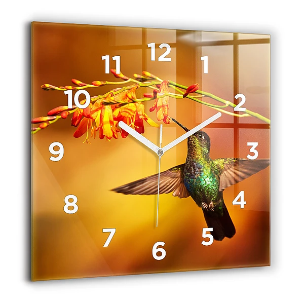 Wanduhr quadratisch Kolibri Vogel