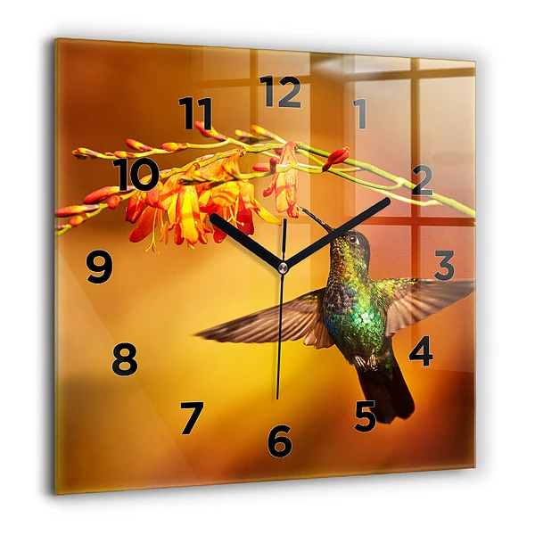 Wanduhr quadratisch Kolibri Vogel