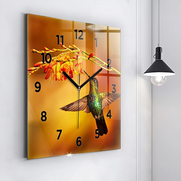Wanduhr quadratisch Kolibri Vogel