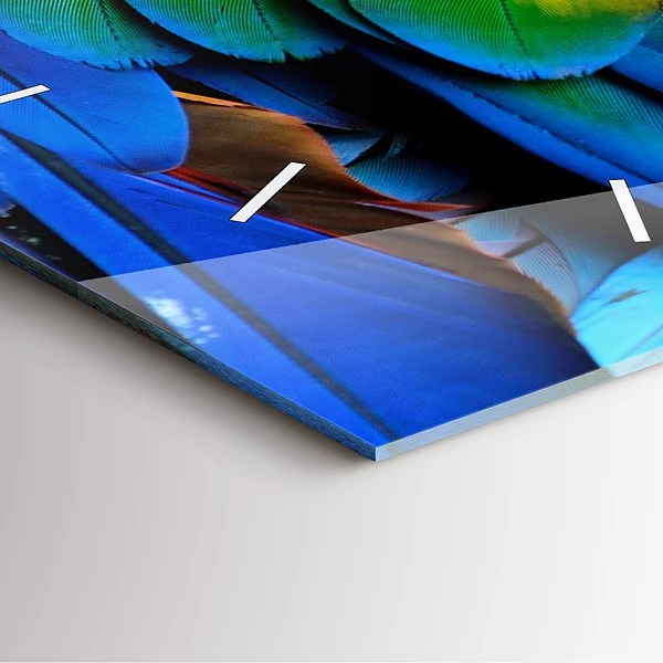Wanduhr quadratisch Ara-Vogel Bunte Flügel