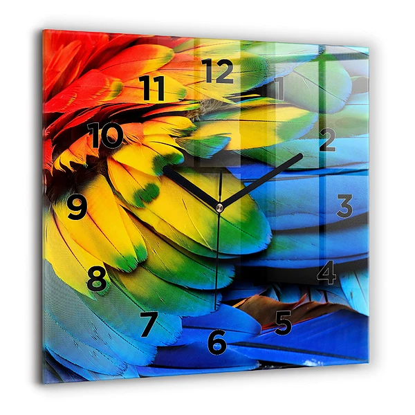 Wanduhr quadratisch Ara-Vogel Bunte Flügel