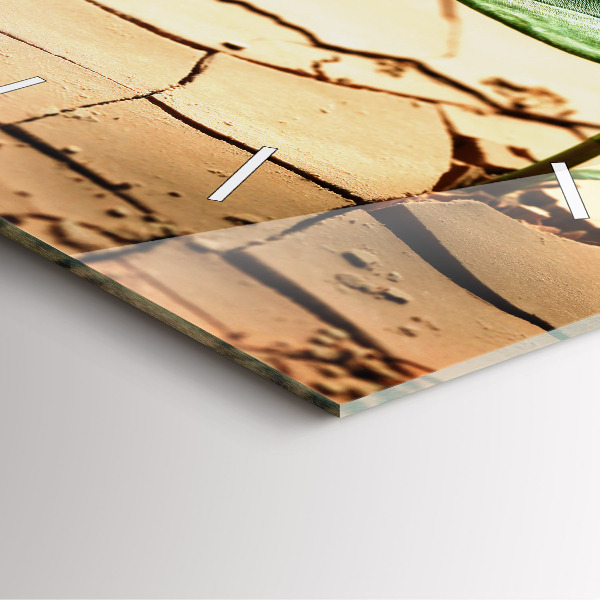 Wanduhr modern quadratisch Pflanze in getrockneter Erde