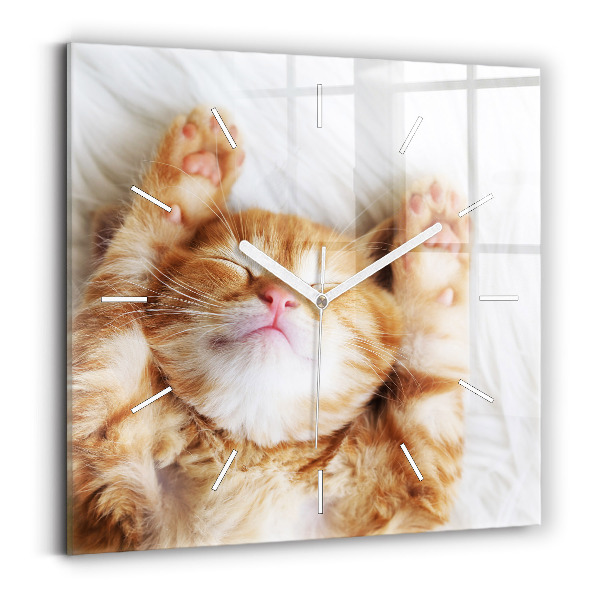 Wanduhr modern quadratisch Kleine Katze schlafend