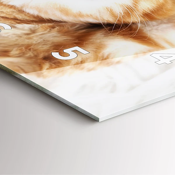 Wanduhr modern quadratisch Kleine Katze schlafend