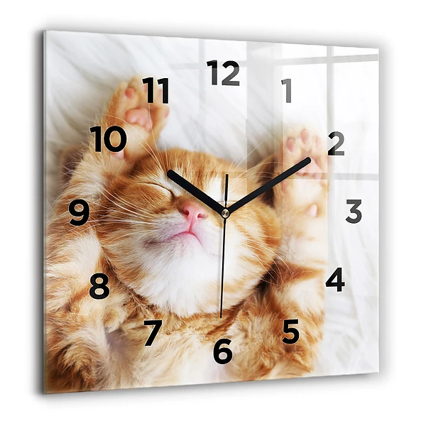 Wanduhr modern quadratisch Kleine Katze schlafend