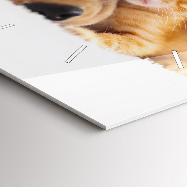 Wanduhr quadratisch Schlafende Katze und Hund