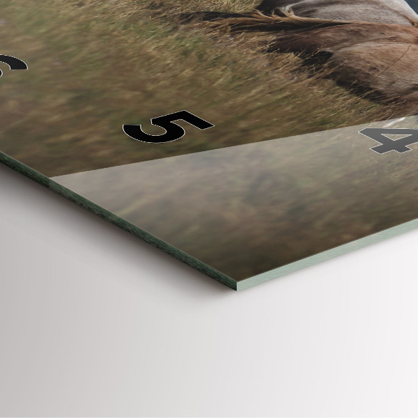 Wanduhr modern quadratisch Pferde im Galopp