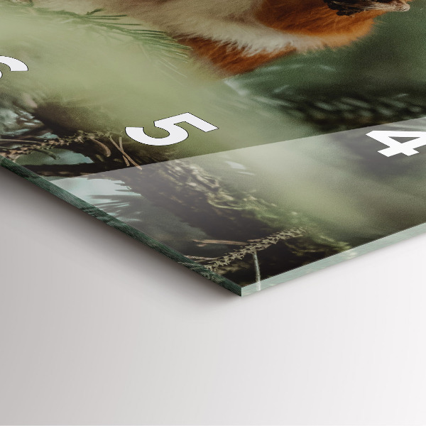 Wanduhr quadratisch Eichhörnchen und Wildtiere