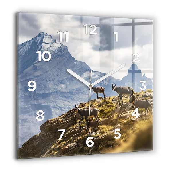 Wanduhr quadratisch mit motiv Ziege im Aosta-Tal
