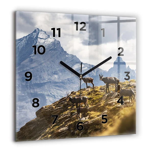 Wanduhr quadratisch mit motiv Ziege im Aosta-Tal