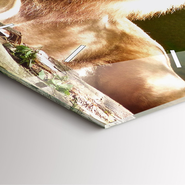 Wanduhr quadratisch mit motiv Porträt eines Löwen