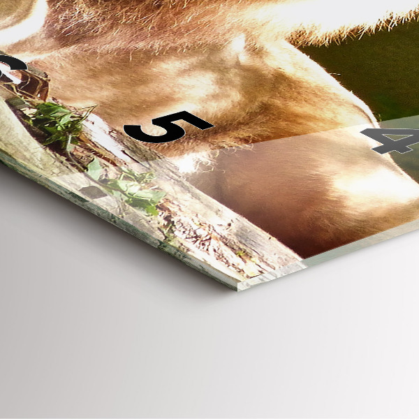 Wanduhr quadratisch mit motiv Porträt eines Löwen