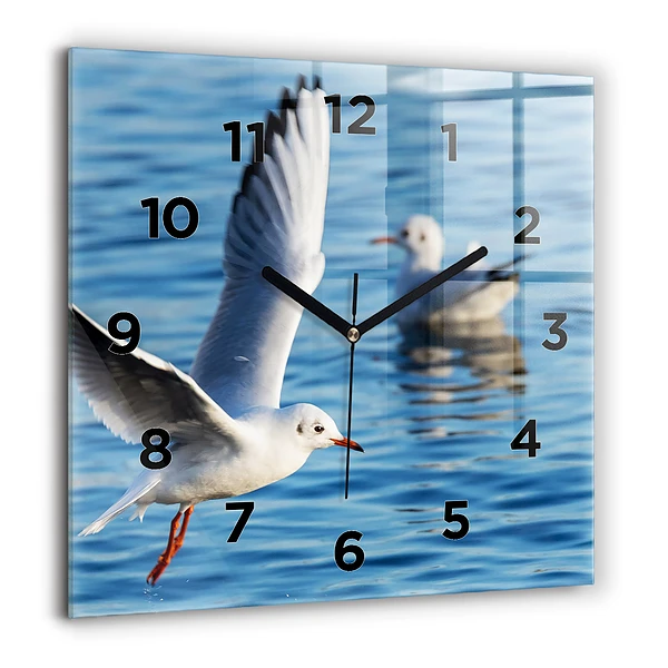 Wanduhr quadratisch mit motiv Seemöwen in Gdynia