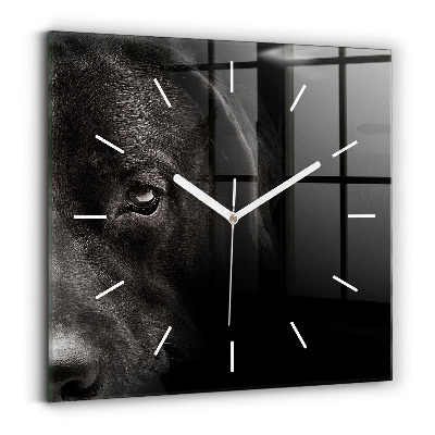 Wanduhr modern quadratisch Hund und schottische Katze