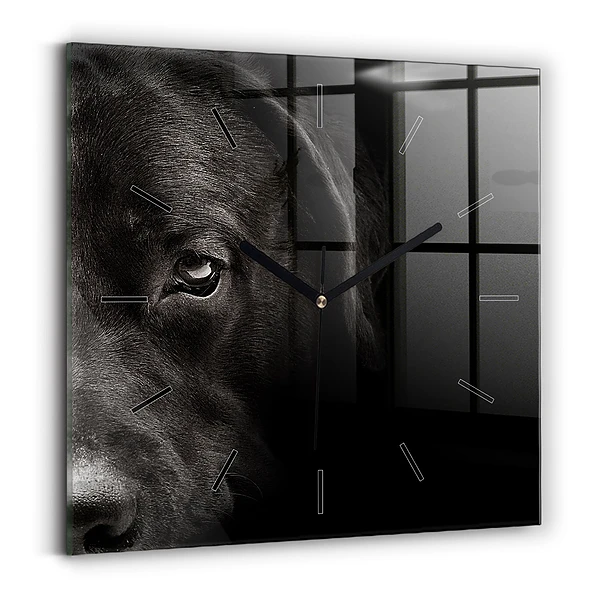 Wanduhr modern quadratisch Hund und schottische Katze
