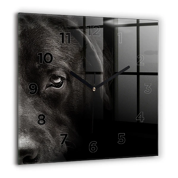 Wanduhr modern quadratisch Hund und schottische Katze