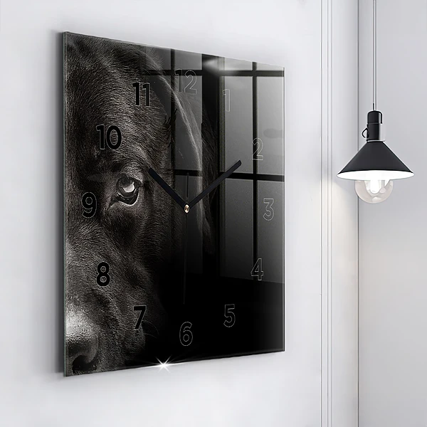 Wanduhr modern quadratisch Hund und schottische Katze