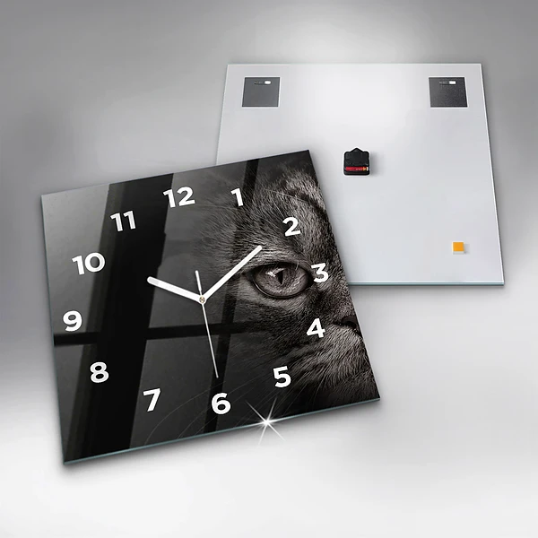 Wanduhr quadratisch mit motiv Schottischer Hund und Katze