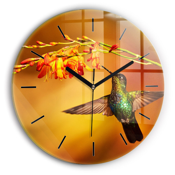 Wanduhr rund Kolibri Vogel