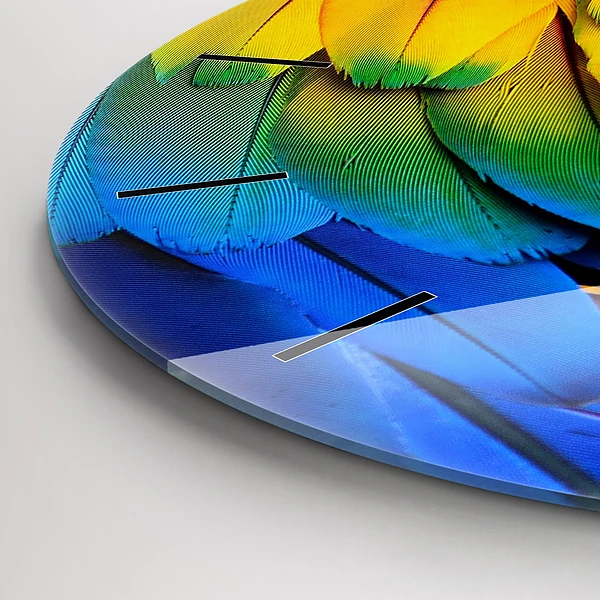 Wanduhr rund mit motiv Ara-Vogel Bunte Flügel