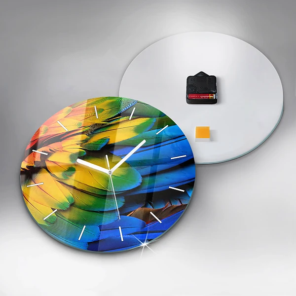 Wanduhr rund mit motiv Ara-Vogel Bunte Flügel