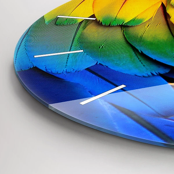 Wanduhr rund mit motiv Ara-Vogel Bunte Flügel