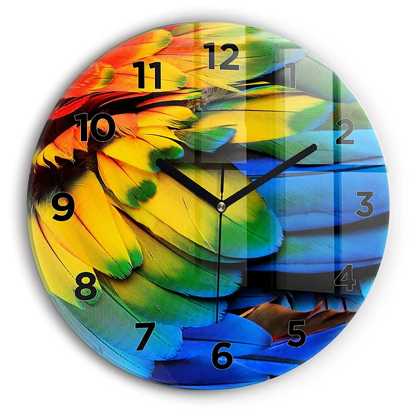 Wanduhr rund mit motiv Ara-Vogel Bunte Flügel