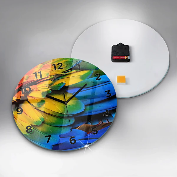 Wanduhr rund mit motiv Ara-Vogel Bunte Flügel