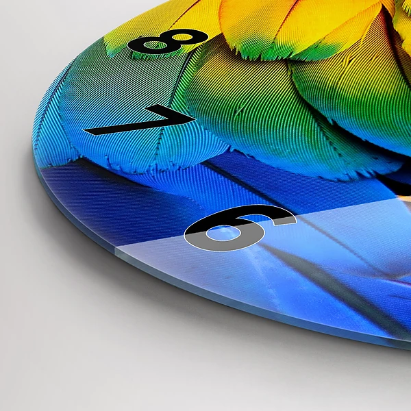 Wanduhr rund mit motiv Ara-Vogel Bunte Flügel