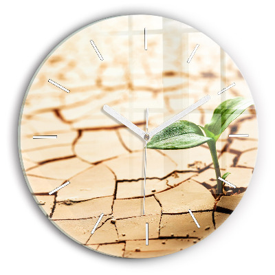 Wanduhr rund Pflanze in getrockneter Erde