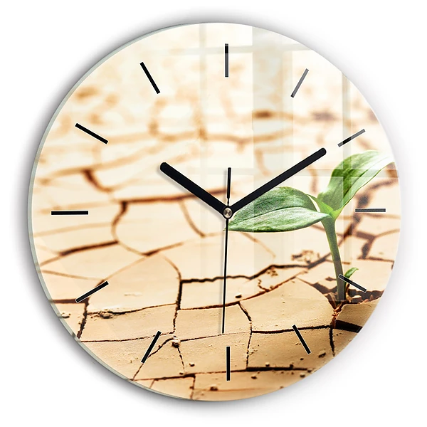 Wanduhr rund Pflanze in getrockneter Erde