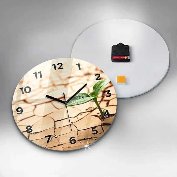 Wanduhr rund Pflanze in getrockneter Erde