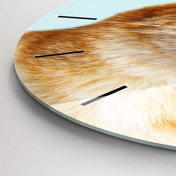 Wanduhr rund mit motiv Lustige Katze mit Brille