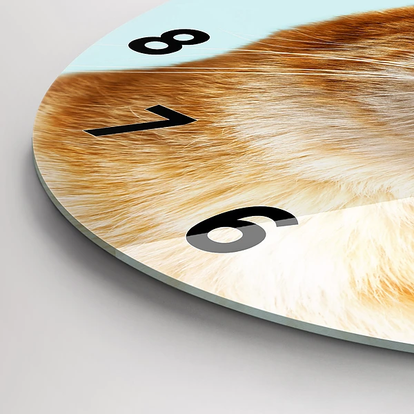Wanduhr rund mit motiv Lustige Katze mit Brille