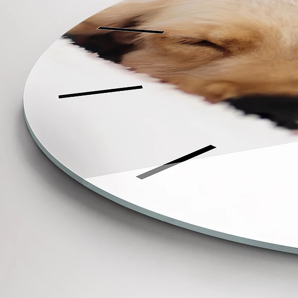 Wanduhr glas rund Schlafende Katze und Hund