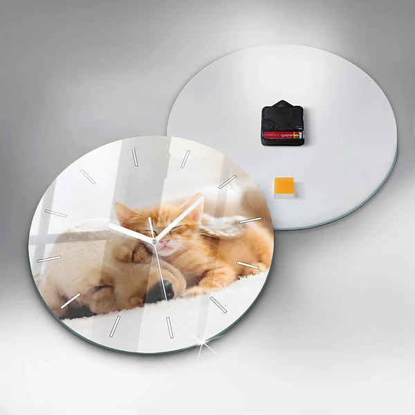 Wanduhr glas rund Schlafende Katze und Hund