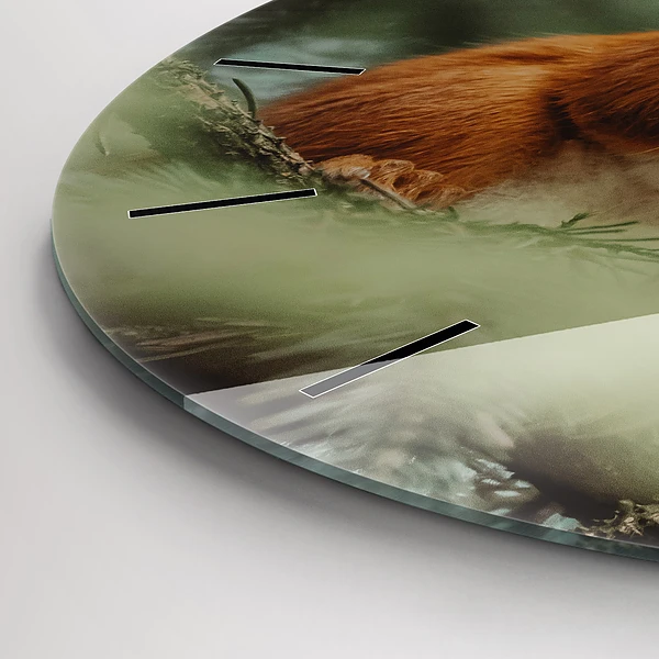 Wanduhr rund mit motiv Eichhörnchen und Wildtiere